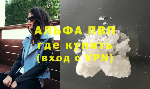эйфоретик Богданович