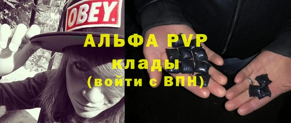 эйфоретик Богданович