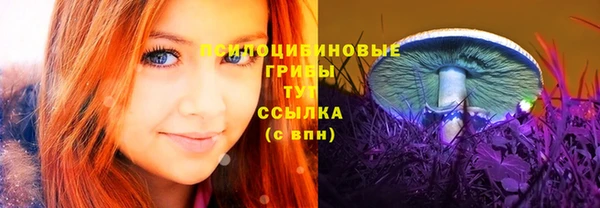 трава Богородицк