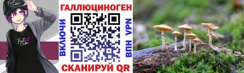 ссылка на мегу вход  Фрязино  Галлюциногенные грибы MAGIC MUSHROOMS 