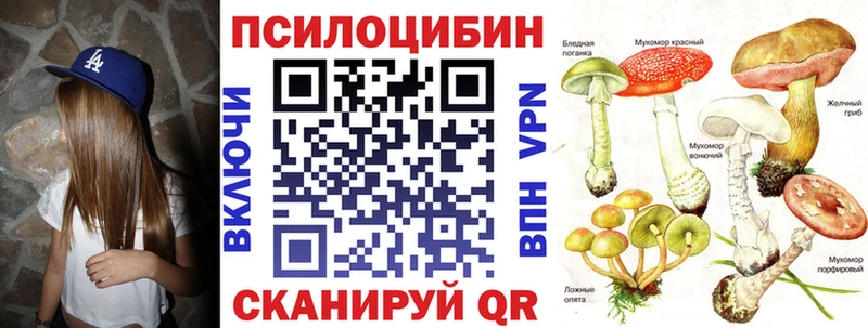 Галлюциногенные грибы Psilocybine cubensis Фрязино